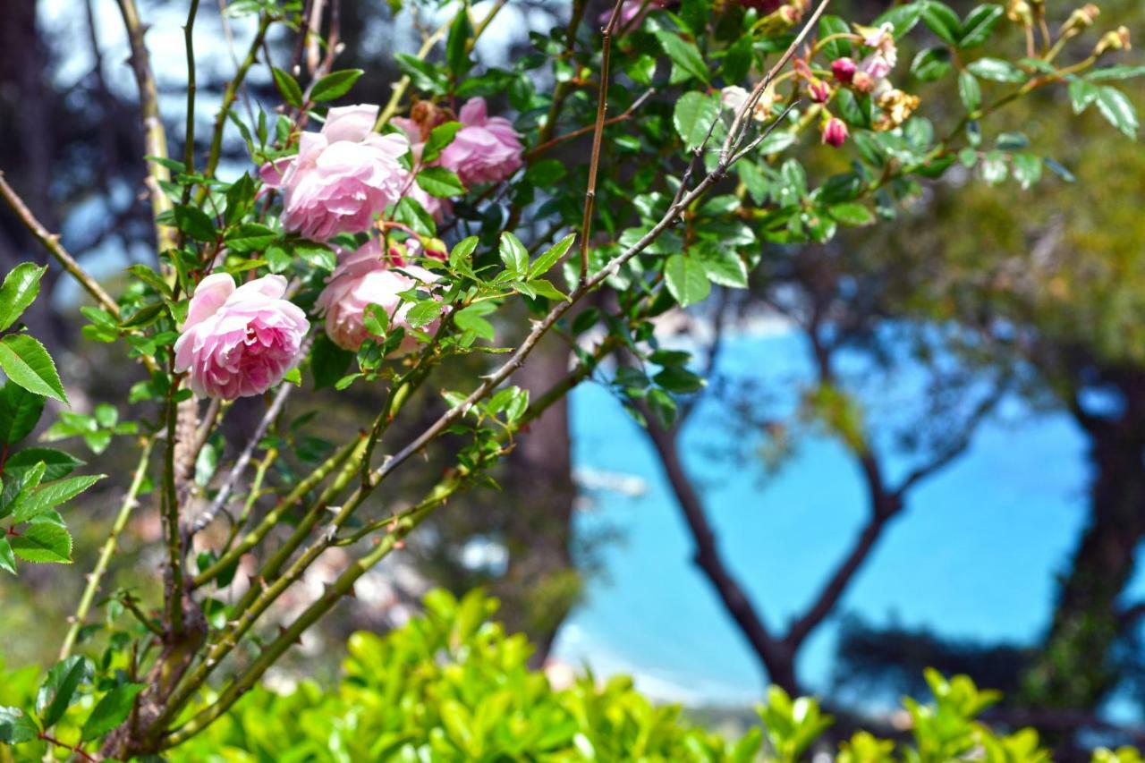 Torre Alpicella Holiday Home, A Scenic Escape Into Nature And Relaxation Diano Marina Exterior foto